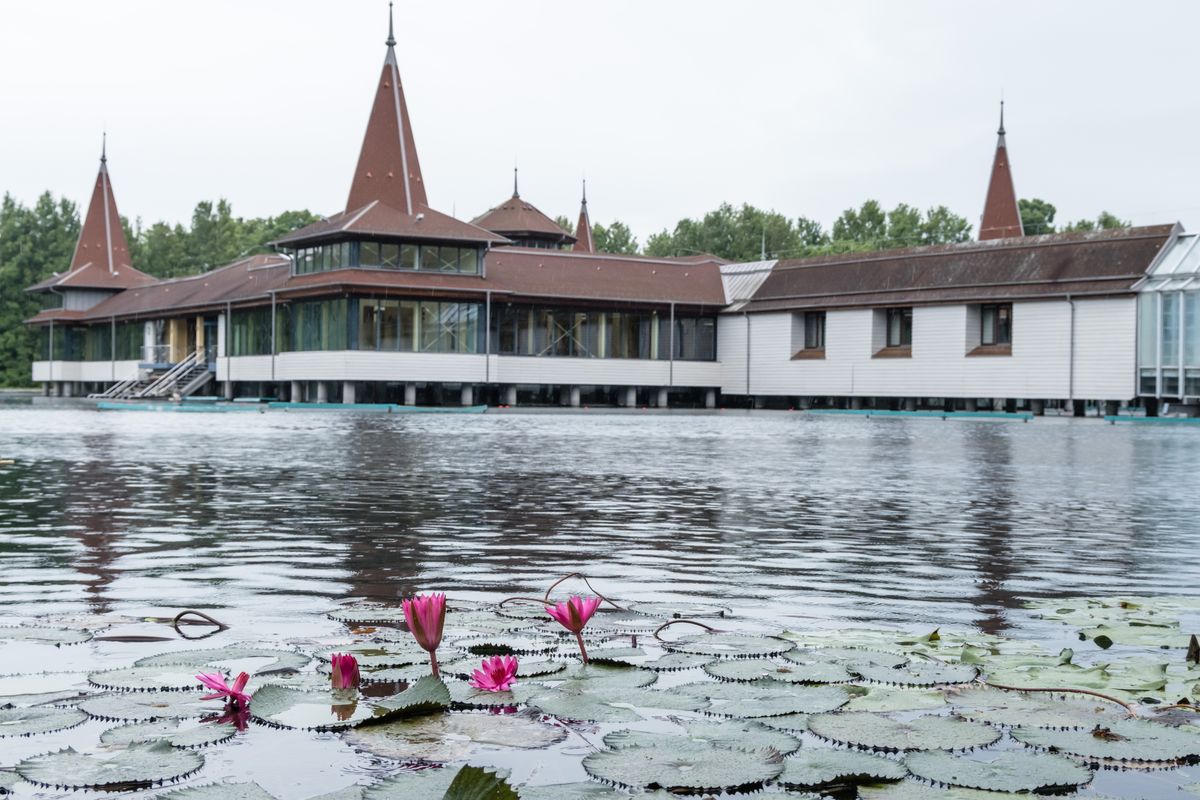 Hévíz, 2025. július 9.
A Hévízi Tófürdő nemrég bezárt, tavi fürdőépülete az Építési és Közlekedési Minisztérium sajtótájékoztatójának napján, 2025. július 9-én. A kormány 381 millió forint támogatást ad az épület rövidtávú helyreállítására.
MTI/Katona Tibor