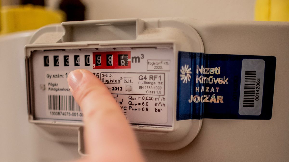 Ha Brüsszel terve bejön, örülhetünk, ha ki tudjuk fizetni a rezsiszámlát + videó