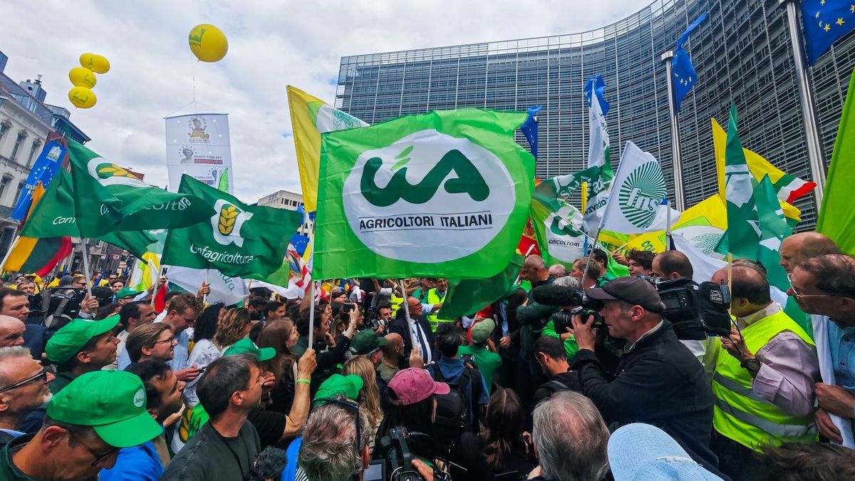 Csak Magyar Péter figyelmét kerülte el az agrárszervezetek brüsszeli tüntetése