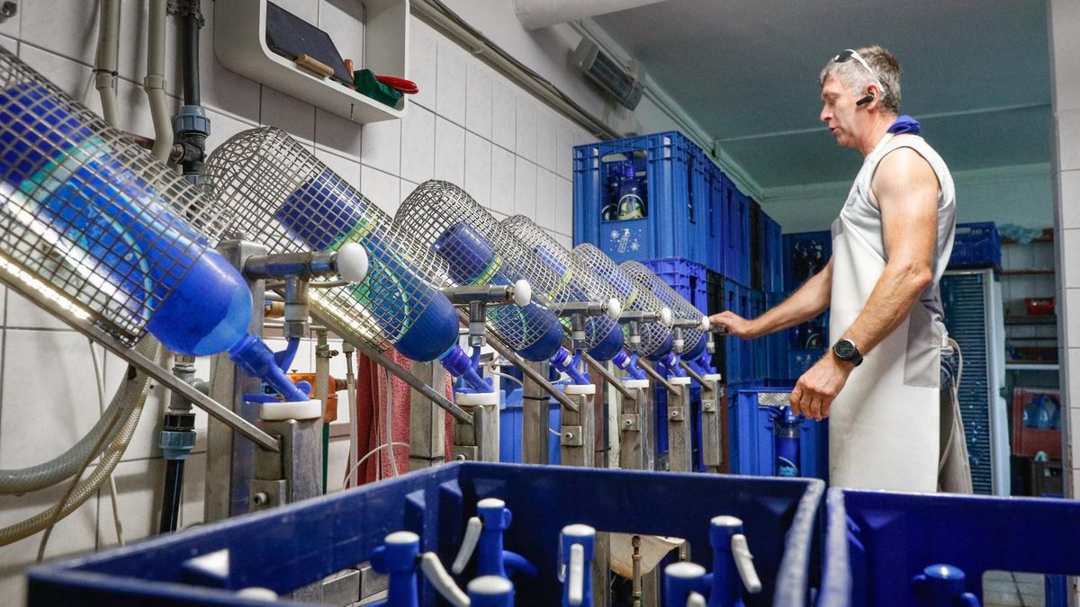 Amikor a tapasztalat érték: így erősíti a gazdaságot az idősebb vállalkozók szerepvállalása