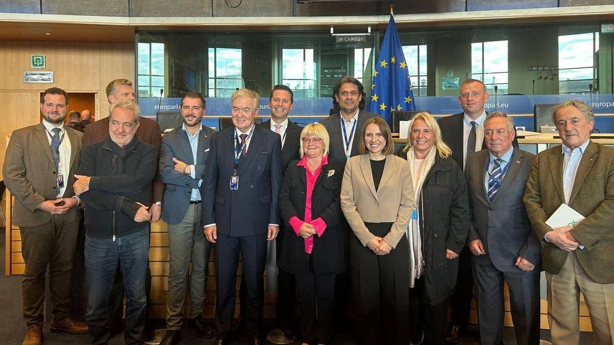 A Patrióták Európáért pártcsalád