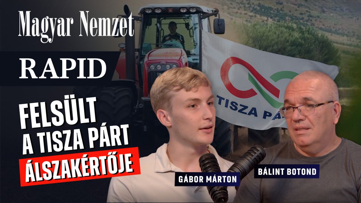 Rapid délutáni friss – A Tisza Pártnál végzettség sem kell a szakértéshez + videó 