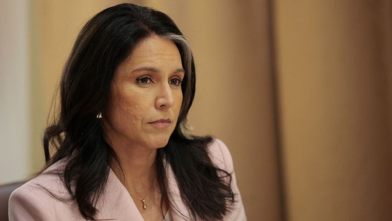 Tulsi Gabbard árulással vádolja Obamát és volt nemzetbiztonsági tisztviselőket Kép