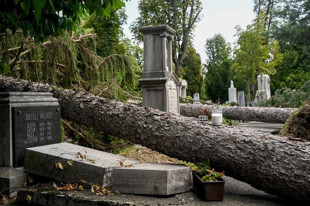 A vihar miatt letört ágak és kidőlt fák okoztak károkat