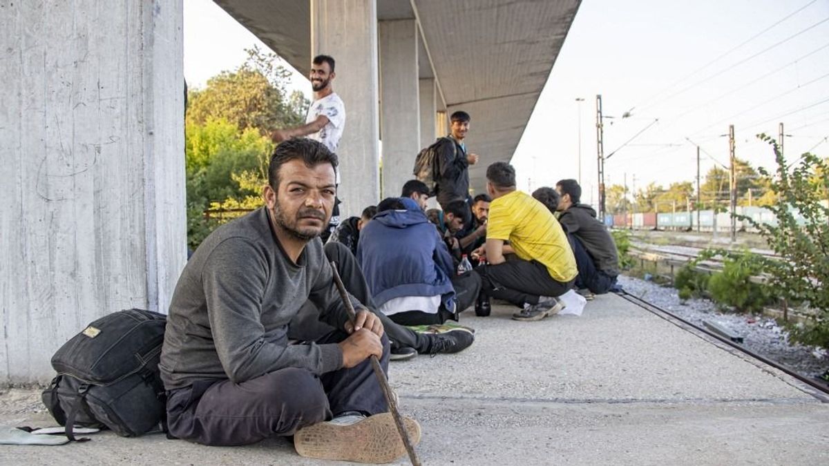 A svédek többsége megvonná az állampolgárságot a bűnöző migránsoktól