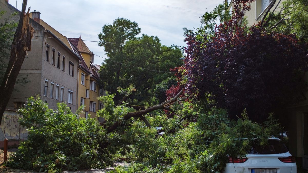 Újabb pusztító vihar csaphat le Magyarországon, miközben még tart a károk felszámolása
