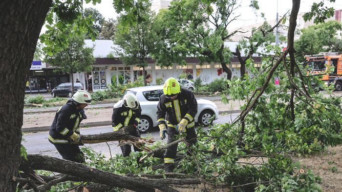 Vihar pusztítása Miskolc térségében