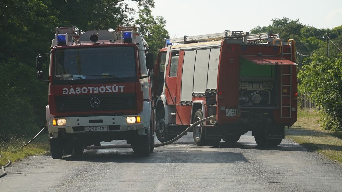 Sorra gyulladtak ki a járművek egy ceglédi telepen, nagy erőkkel vonultak ki a tűzoltók