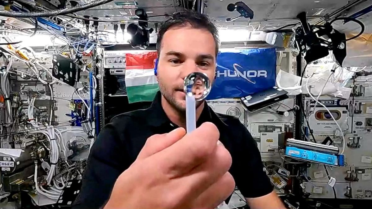 Kapu Tibor elmondta, mi lesz a macskákkal az űrben + videó