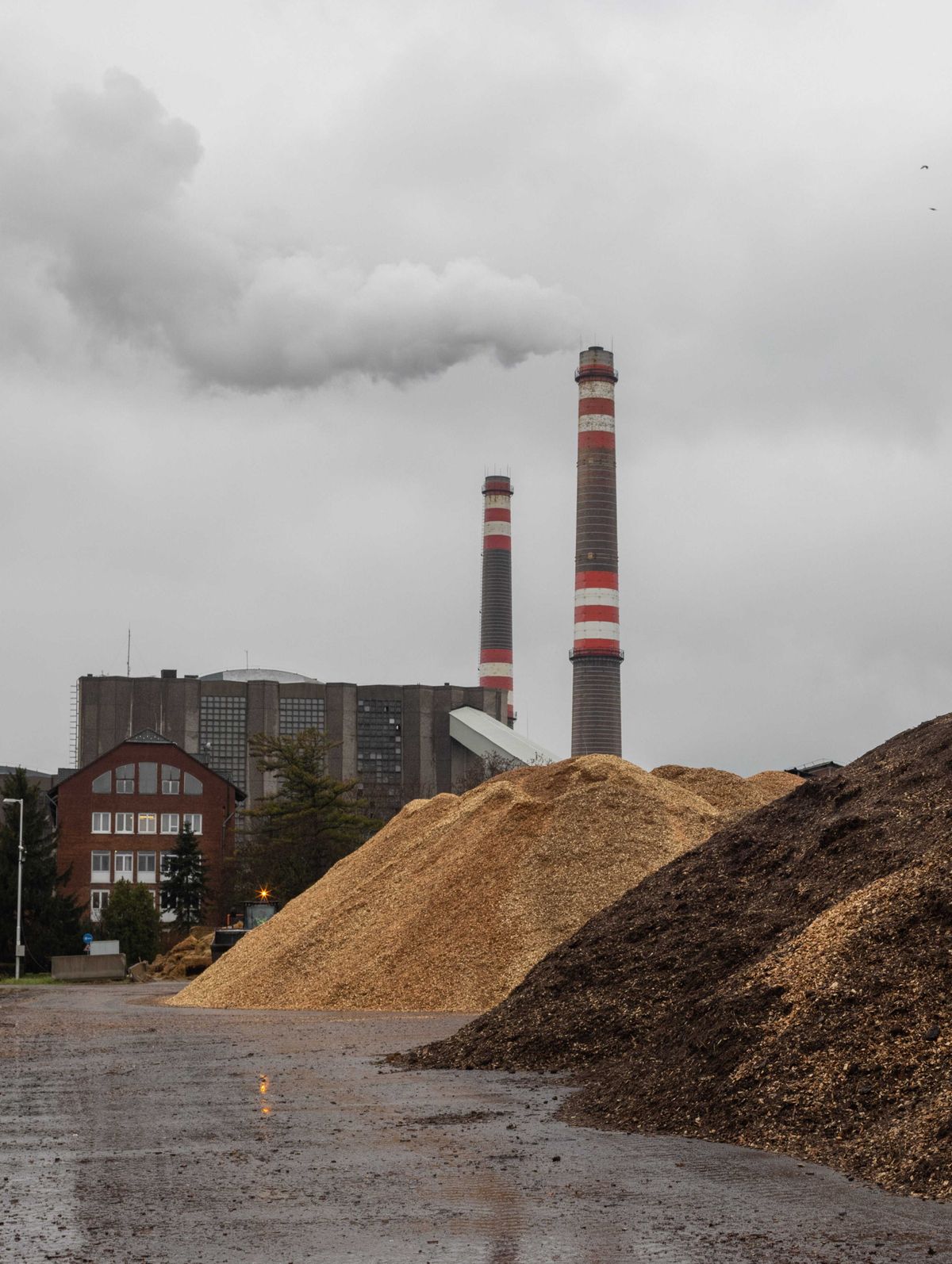 Pécs, 2023. január 19. Fenyőfa darálék a Pannon Biomassza Kft. hőerőművének udvarán Pécsen 2023. január 19-én. A tulajdonos Veolia Energia Magyarország Zrt. tájékoztatása szerint akár 40 tonnányi, a karácsonyi ünnepek után kidobott fenyőfát is elégethetnek a két biomassza-tüzelésű blokkal működő pécsi hőerőműben. A Veolia több mint 60 állami és önkormányzati intézményt, 66 egészségügyi és szociális intézményt és 57 ipari telepet lát el energiával, távhőszolgáltatóként 14 városban több mint 270 000 távfűtött lakás és közintézmény fűtéséről gondoskodik. / Fotó: Ruprech Judit / MTI Fotószerkesztőség