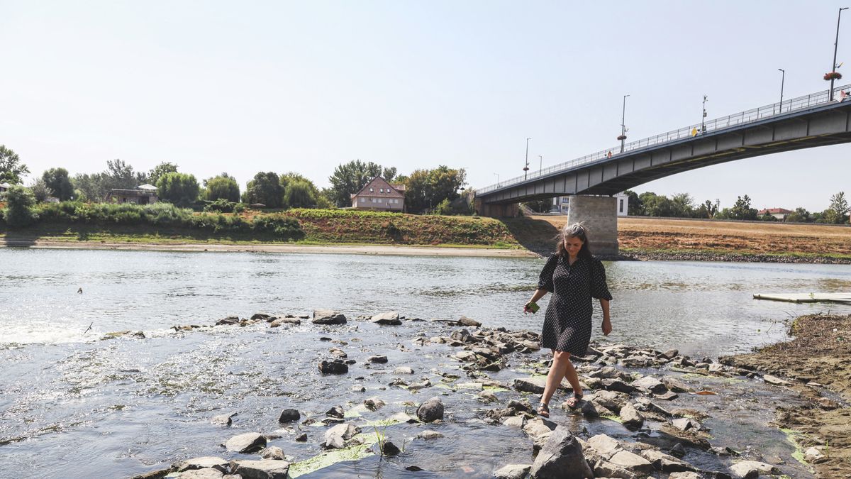 Vízválasztó, avagy a stréber tiszások