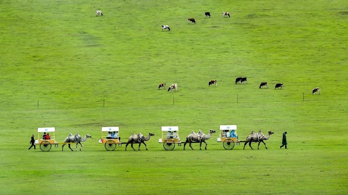 Aki a jurtában hajszárítót keres, ne jöjjön Mongóliába