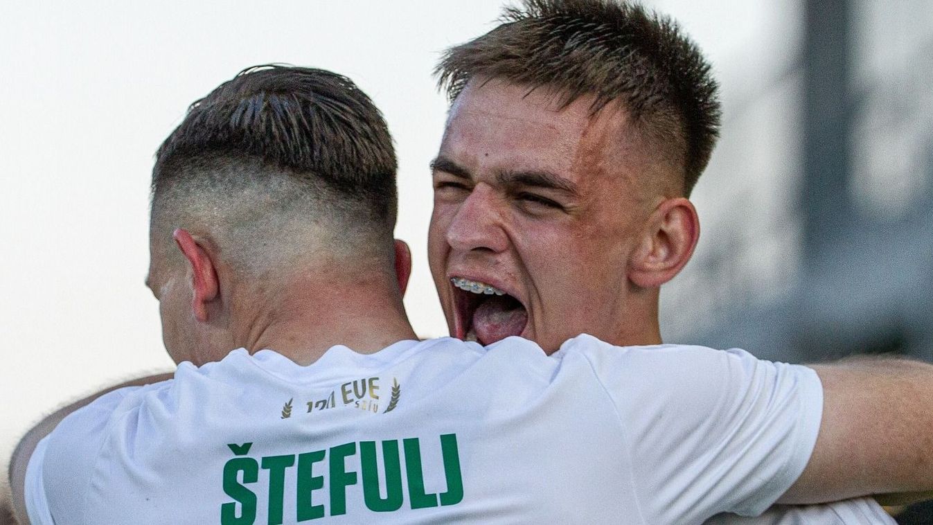 Daniel Stefulj két sárga lapjának még lesz utóélete