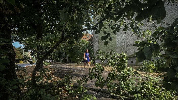 Vihar pusztítása Szegeden