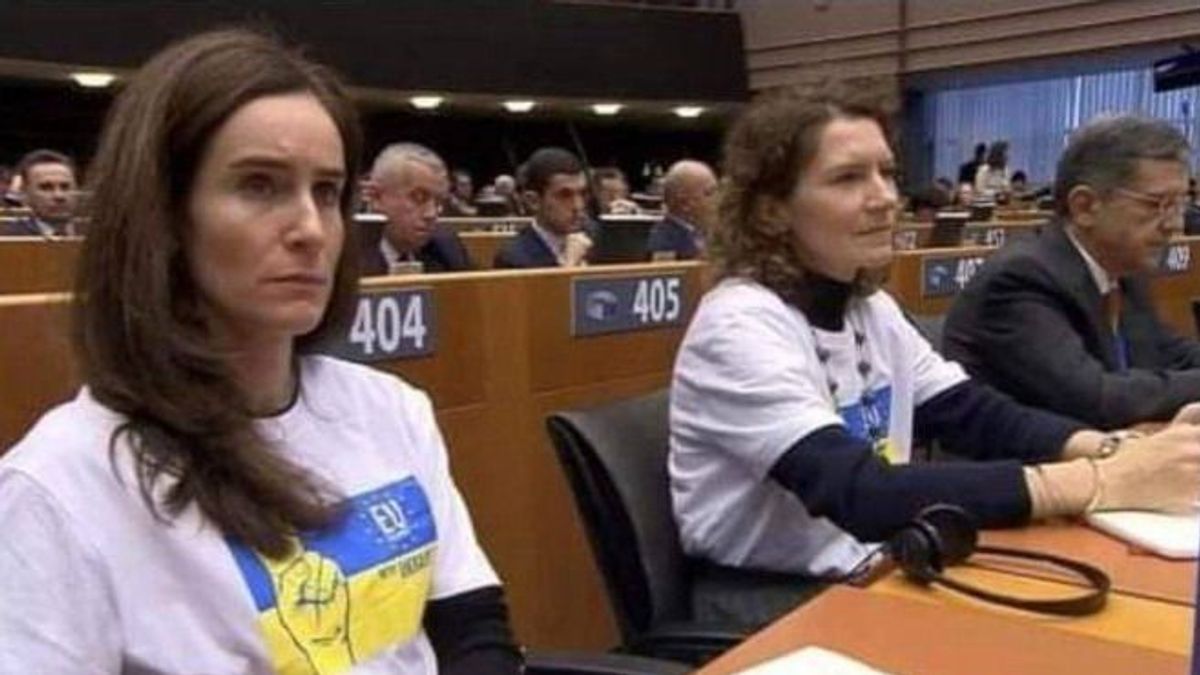 Kijev ukránbarát önkéntes mozgalomnak nevezi a Tisza Pártot