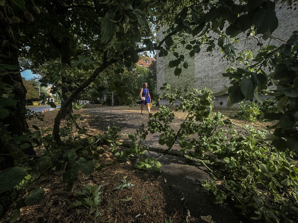 Vihar pusztítása Szegeden
