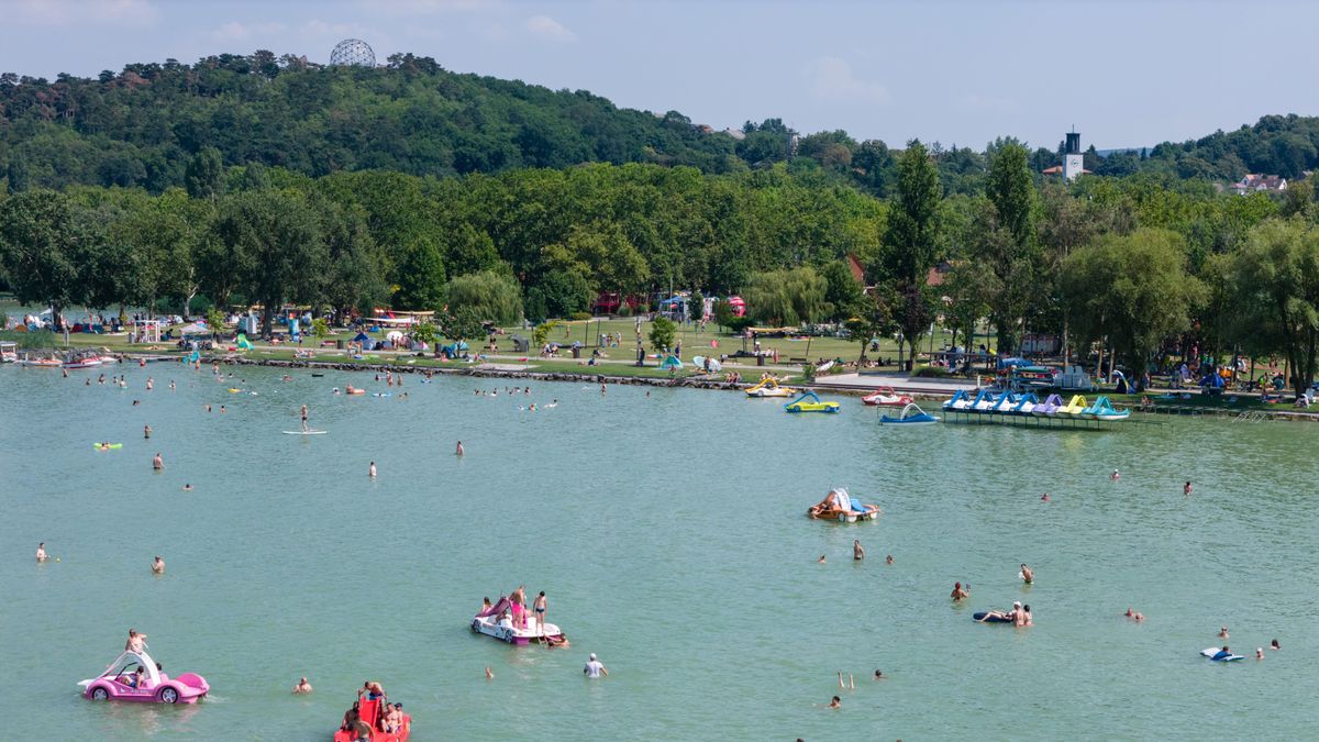 Balatonboglár, 2024. július 12.
A drónnal készült felvételen fürdőzők a balatonboglári Platán strandon 2024. július 12-én.
MTI/Vasvári Tamás