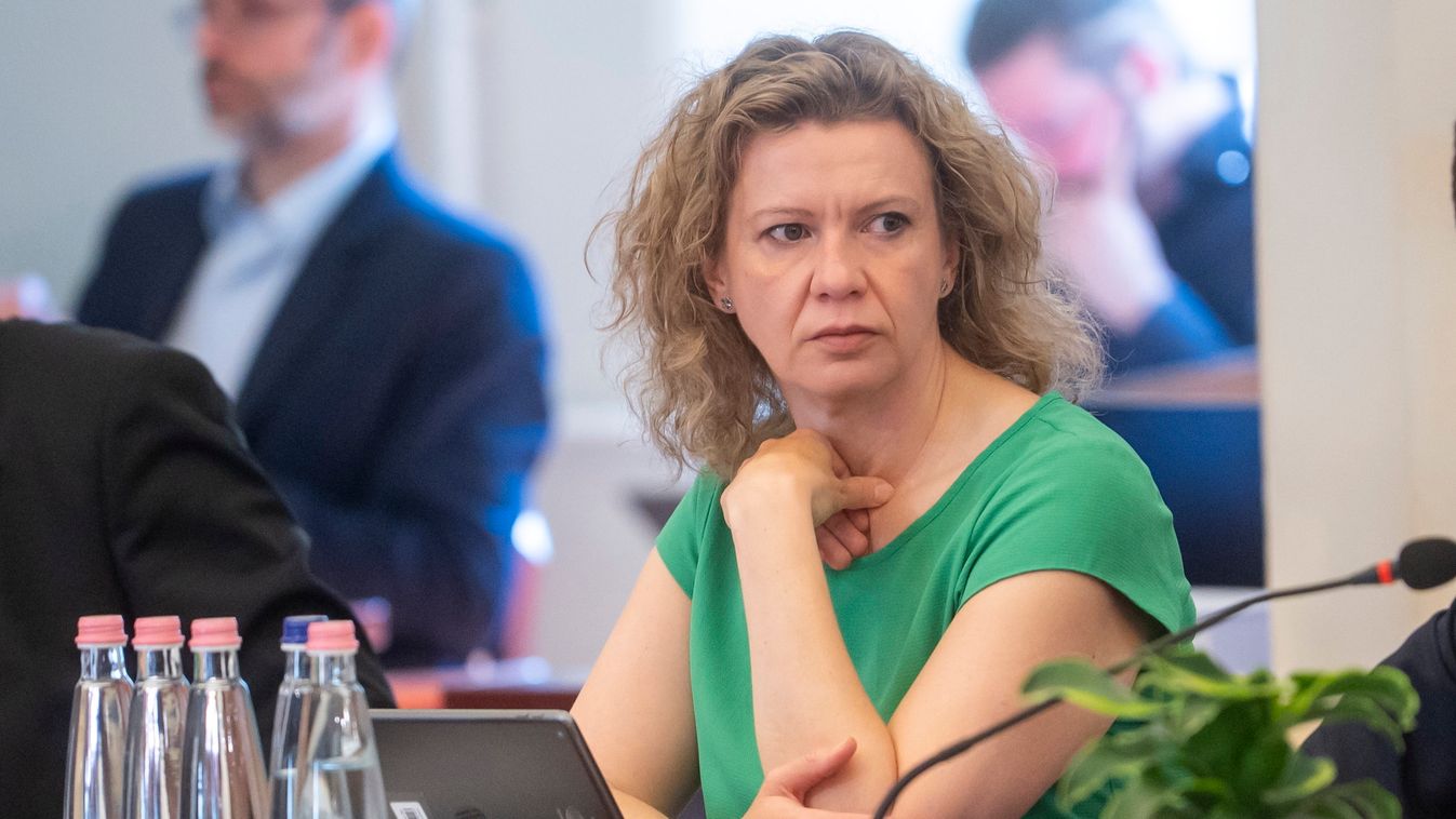 Kollár Kinga, a Tisza Párt EP-képviselője