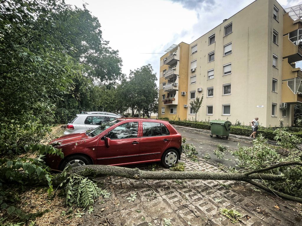 Vihar pusztítása Szegeden