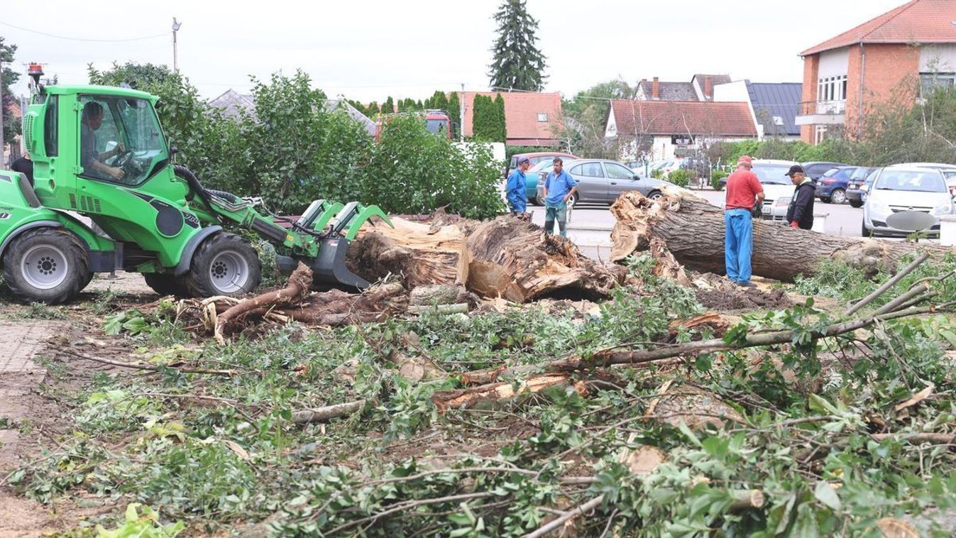 Vihar utáni helyreállítások: Nagykállóban évszázados fákat csavart ki a tomboló szél, félszáz ingatlan rongálódott meg
Szon/Bozsó Katalin