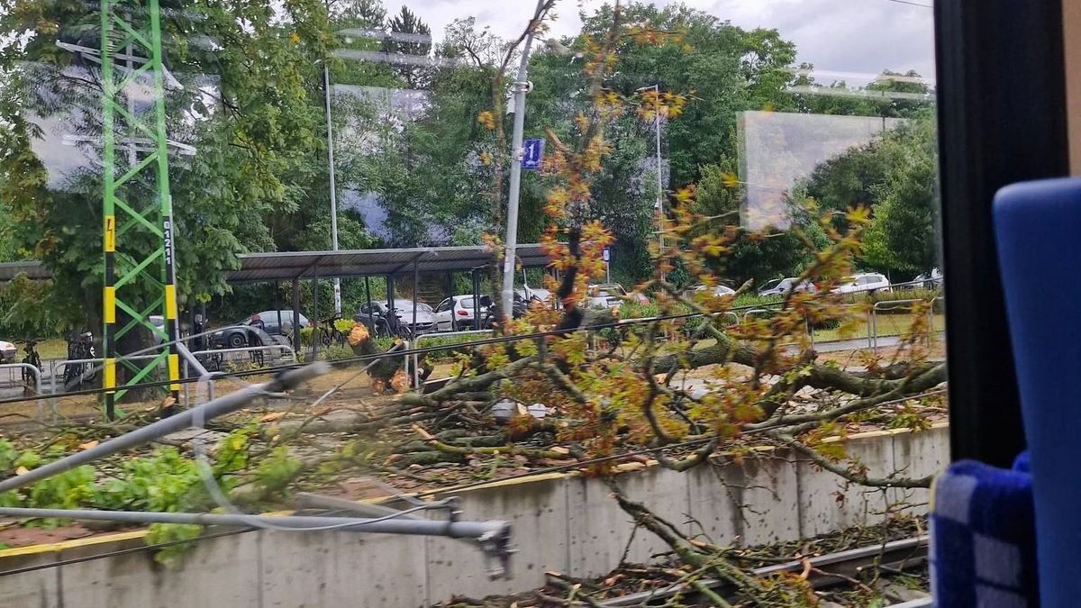 A szolgáltatók és a hatóságok minden erővel dolgoznak a vihar okozta áramkimaradás és más üzemzavarok felszámolásán