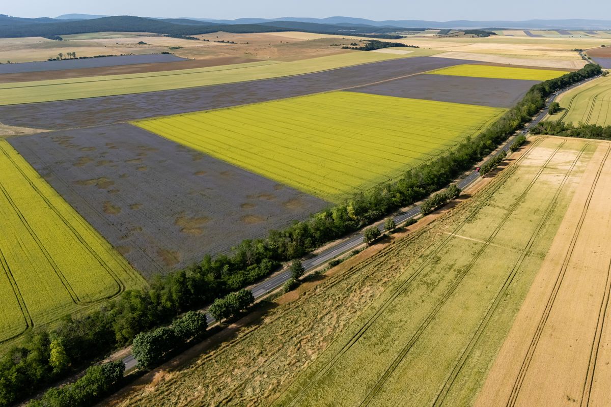 A magyar gazdáktól elvont agrártámogatásokat Ukrajna finanszírozására fordítaná az Európai Unió