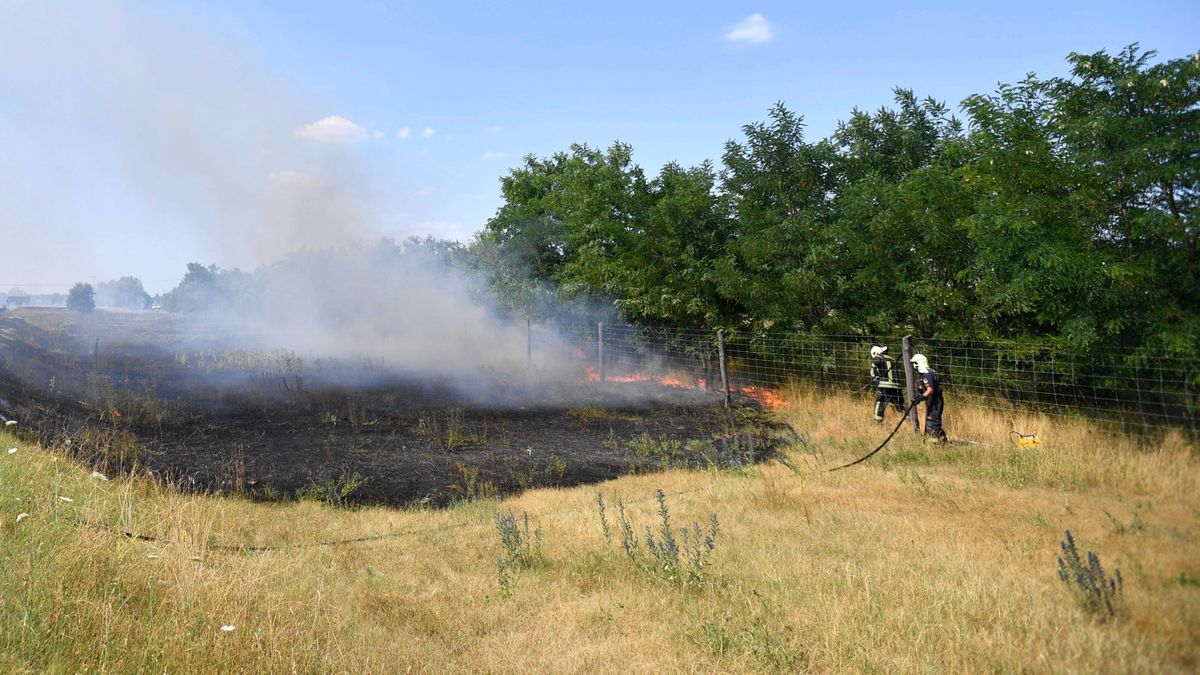 Újraindult a vonatforgalom a szegedi fővonalon