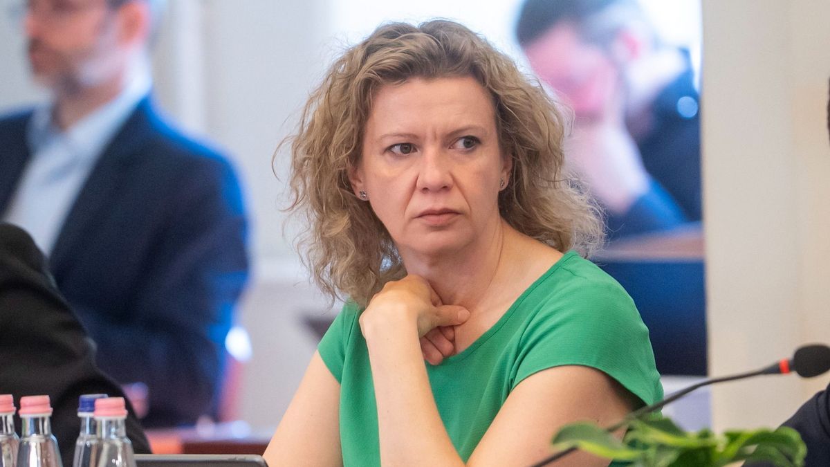 Kollár Kingának inkább a lelkiismeretének kéne növekednie, nem az ingatlanjainak