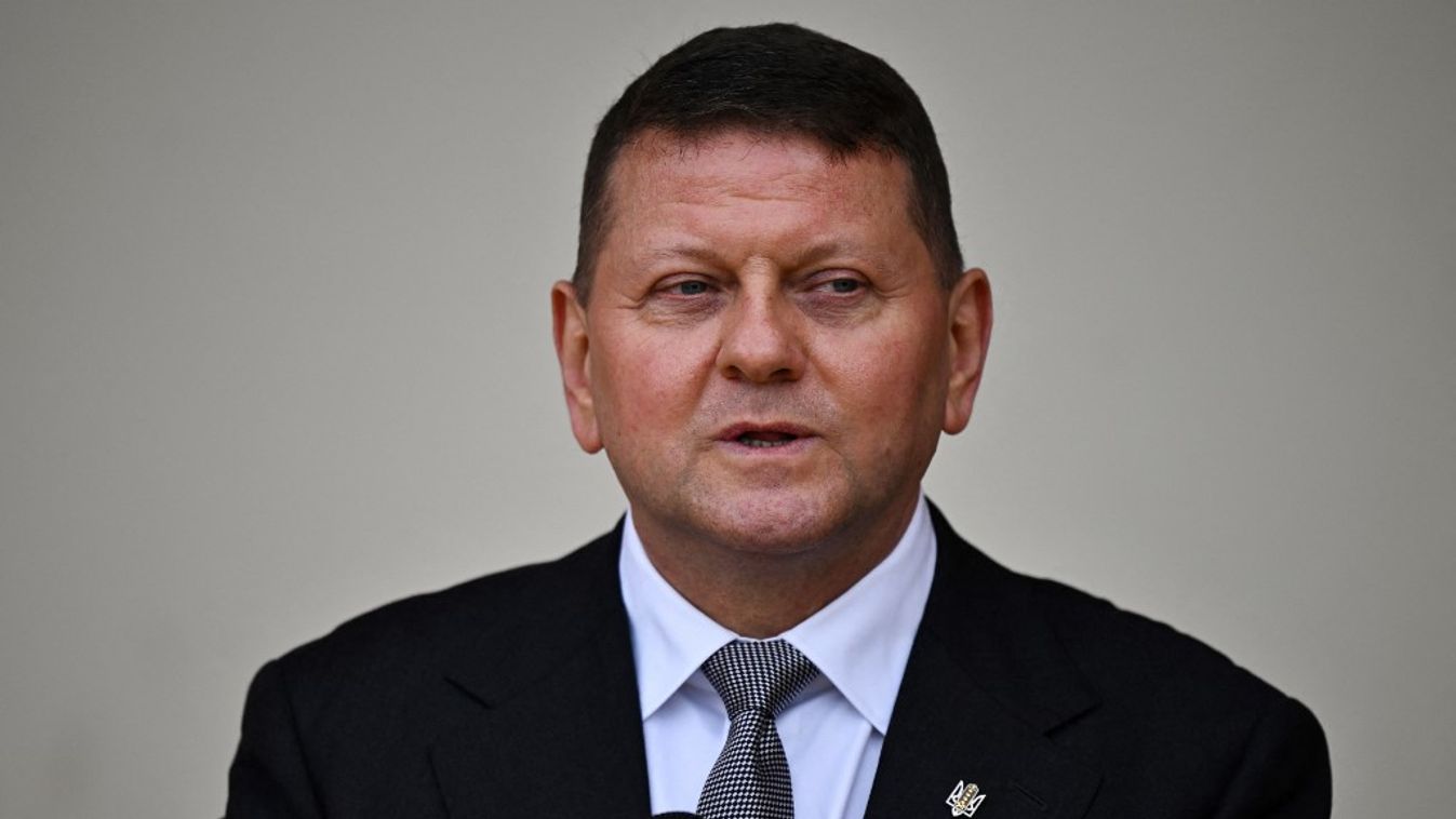 Valerij Zaluzsnij, Ukrajna londoni nagykövete (Fotó: AFP)