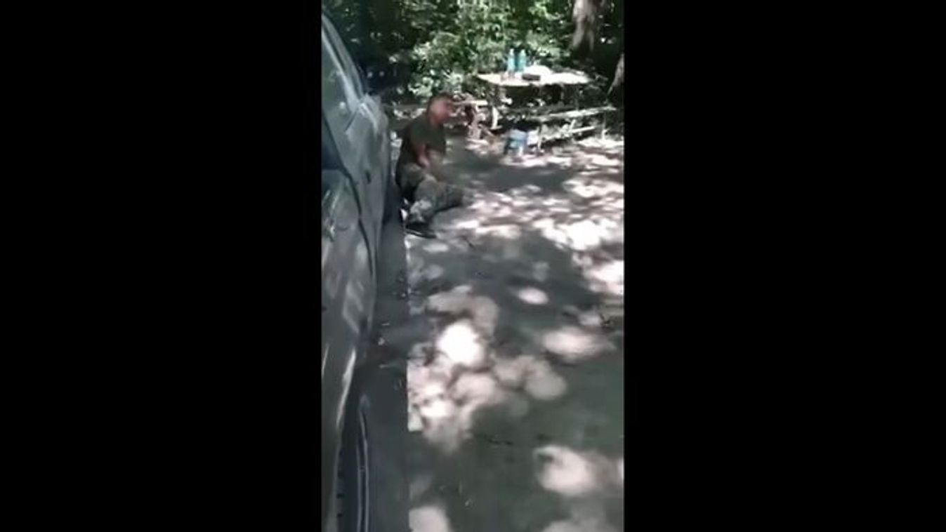 Jozsef Sebestyen was tortured with brutal cruelty by Ukrainians (Source: Videa)