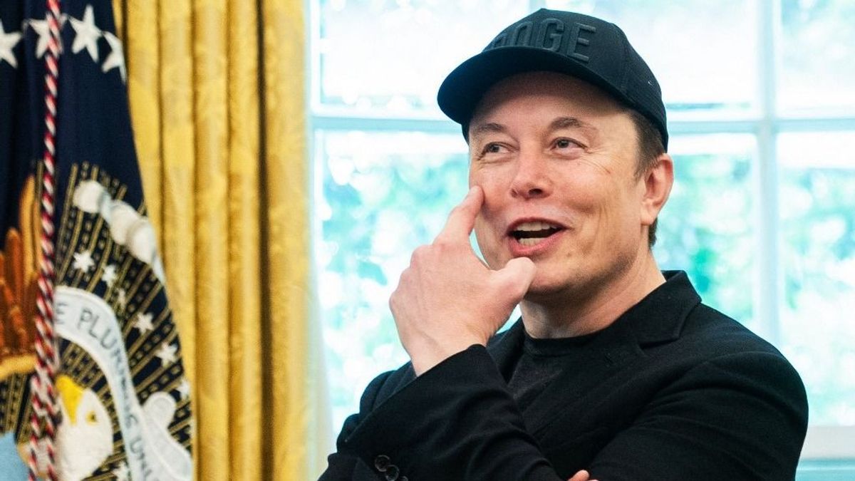 Elon Musk pártot alapított