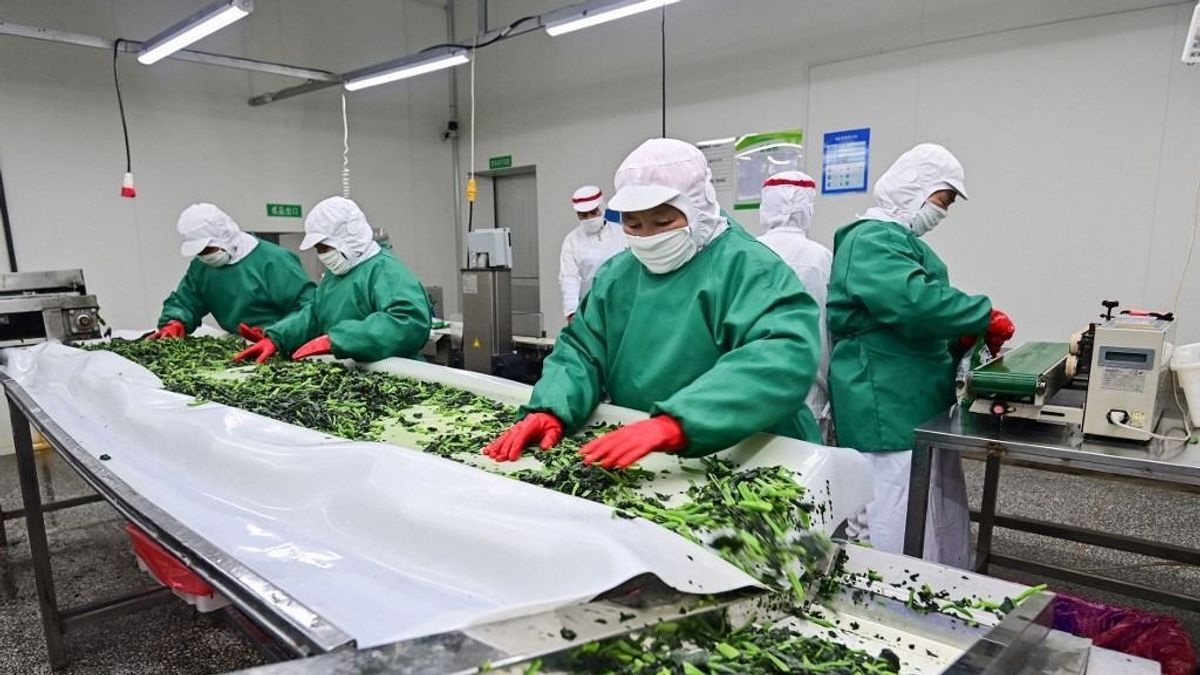Rengeteget pazarolunk – az EU élelmiszerhulladéka már eléri az import szintjét