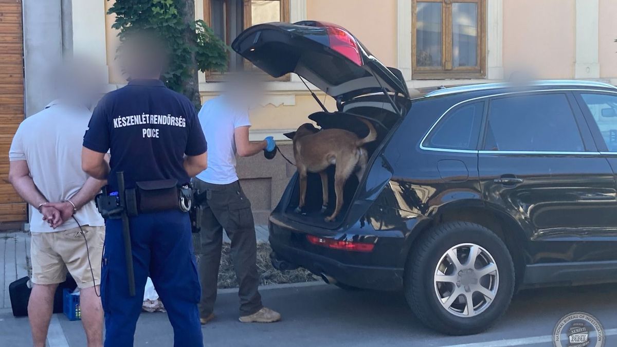 Száz rendőr rohanta le a kecskeméti kokainbandát + videó