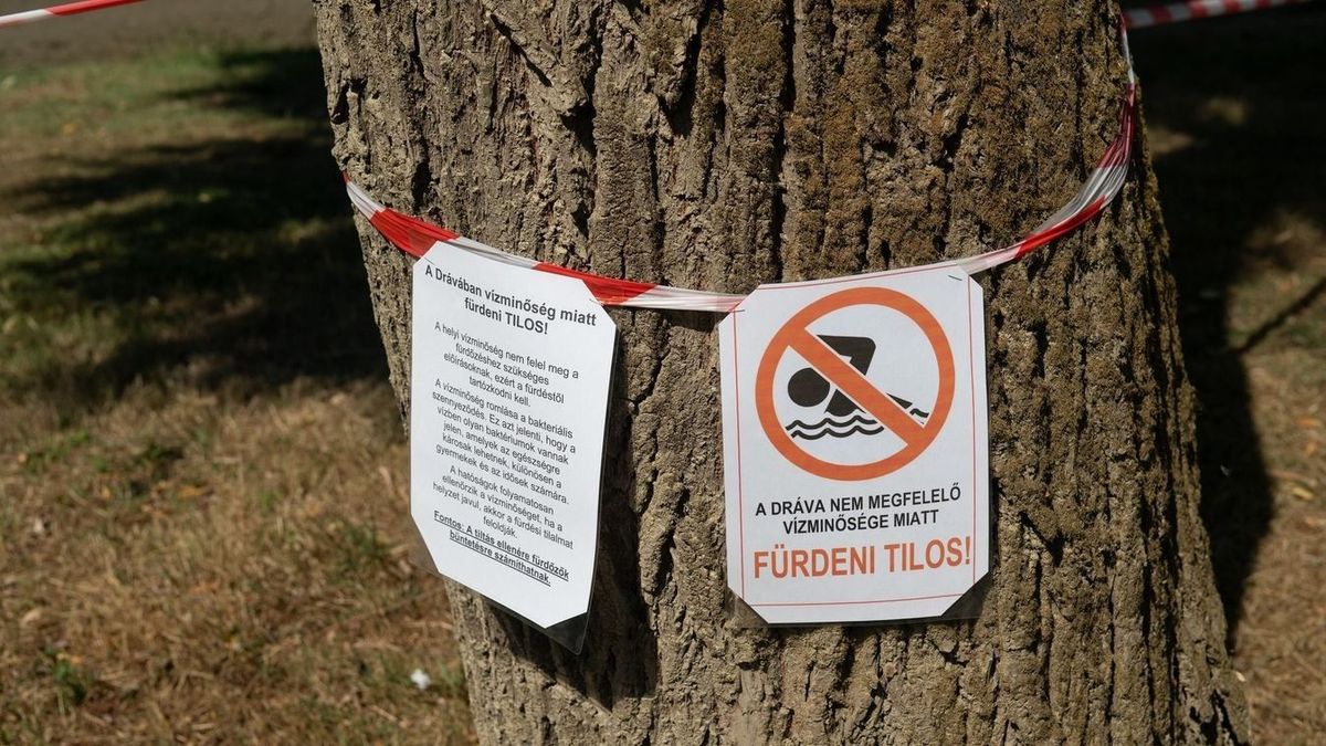 Újabb hazai strandon tiltották be a fürdőzést