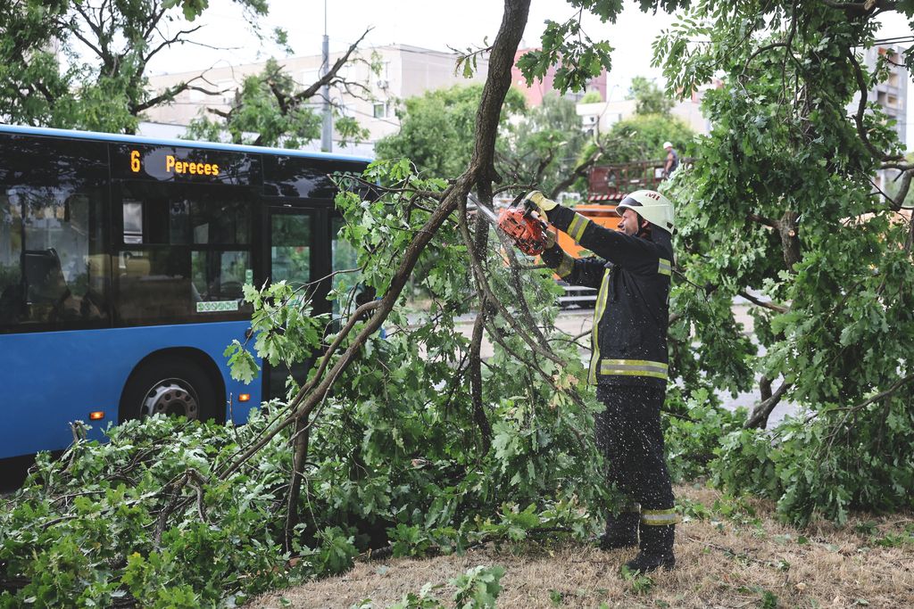 Vihar pusztítása Miskolc térségében