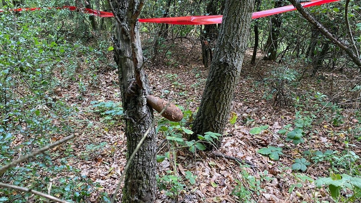 Fába ékelődött robbanótestre bukkantak a Mátrában, megszólalt a honvédség