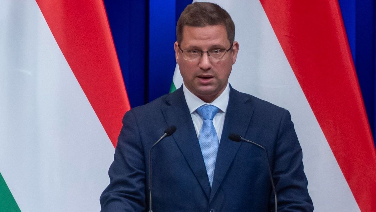 Gulyás Gergely: Ruszin-Szendi Romulusz karakter-öngyilkosságot követett el