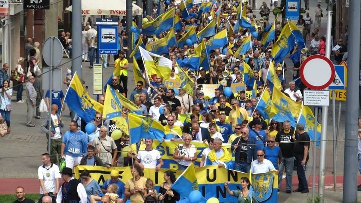 A Székely Nemzeti Tanács elnöke nyílt levélben üzent egy EP-képviselőnek