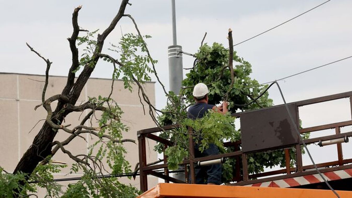 A fallen tree branch that broke during the storm is being cleared from a power line in Miskolc, July 7, 2025 (Photo: MTI/Janos Vajda)