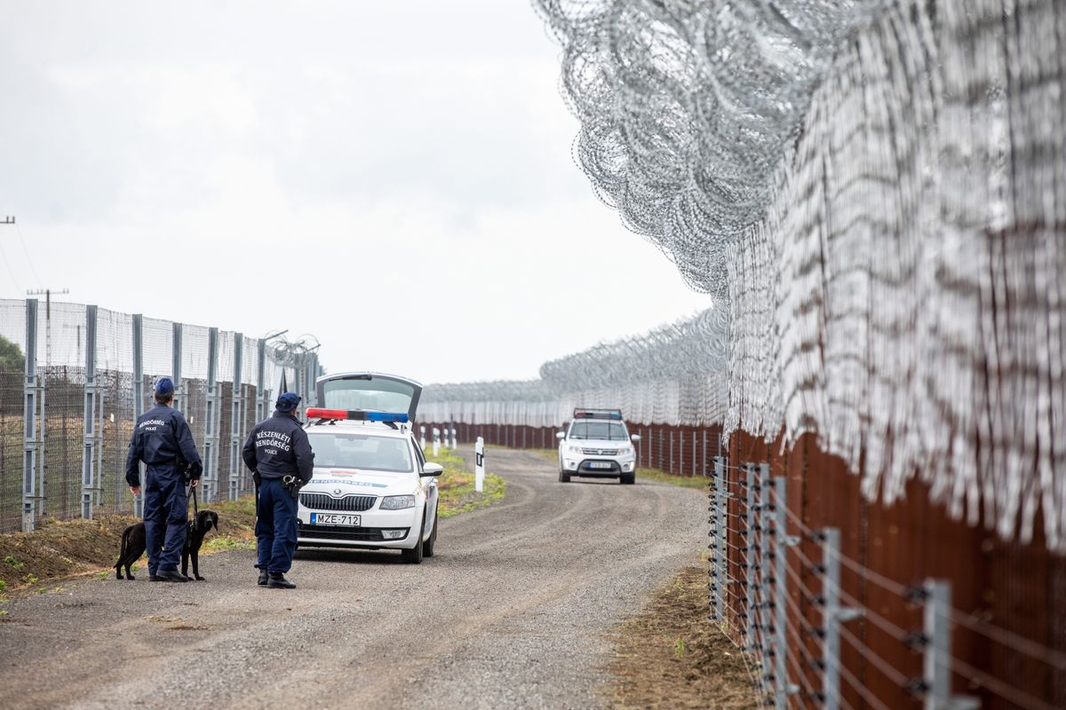 Politikai akarat kell a hatékony migrációs válságkezeléshez