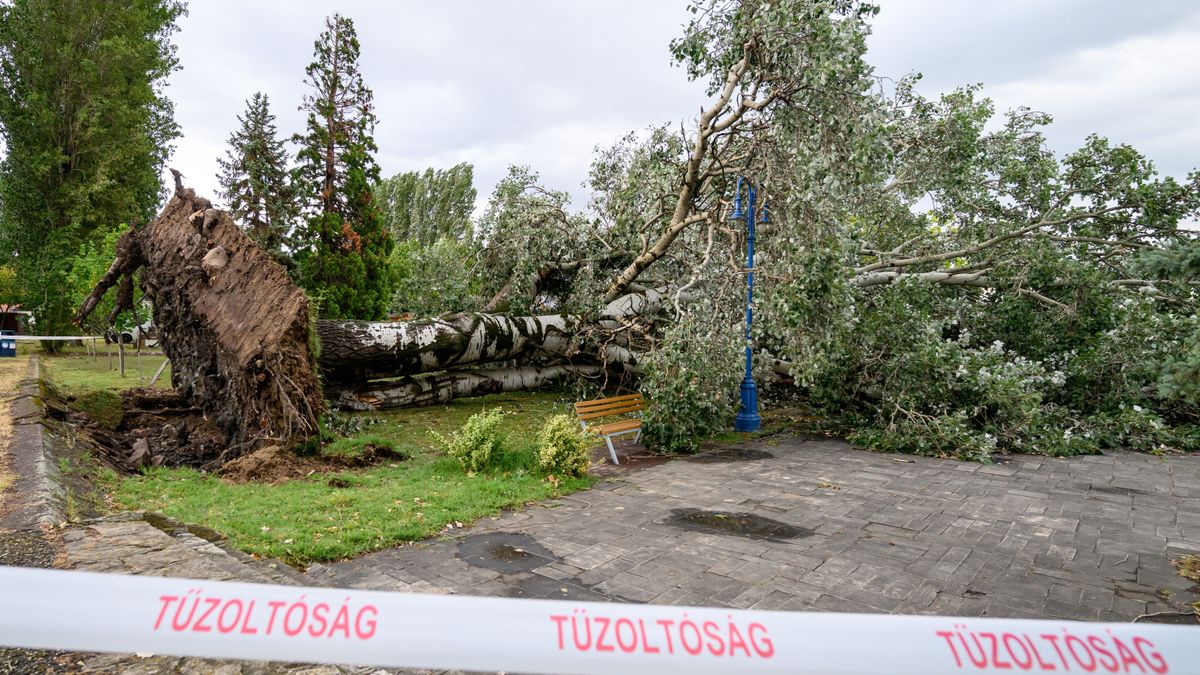 Iszonyatos pusztítást végzett a vihar + videó