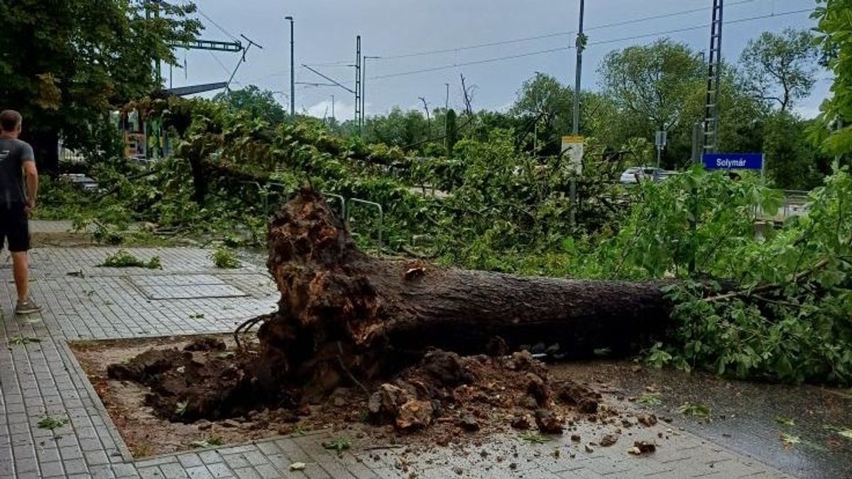 Elementáris erővel vitt mindent a vihar + fotók és videók