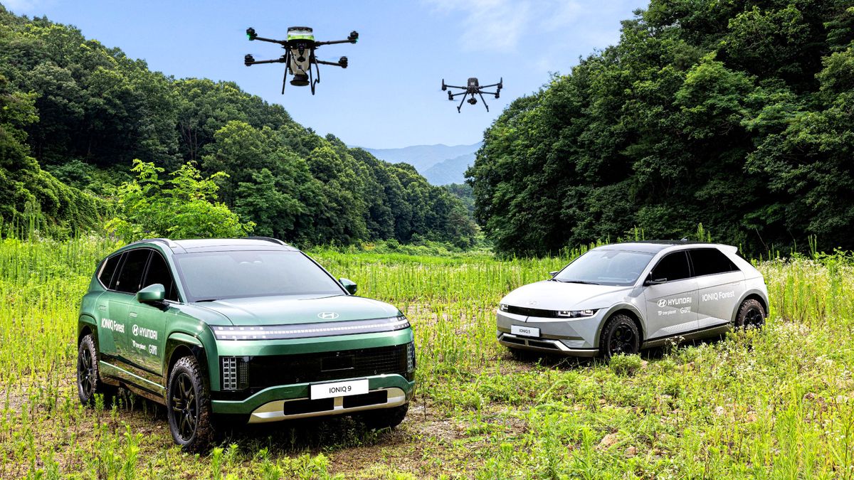 Újraerdősítést segít a Hyundai