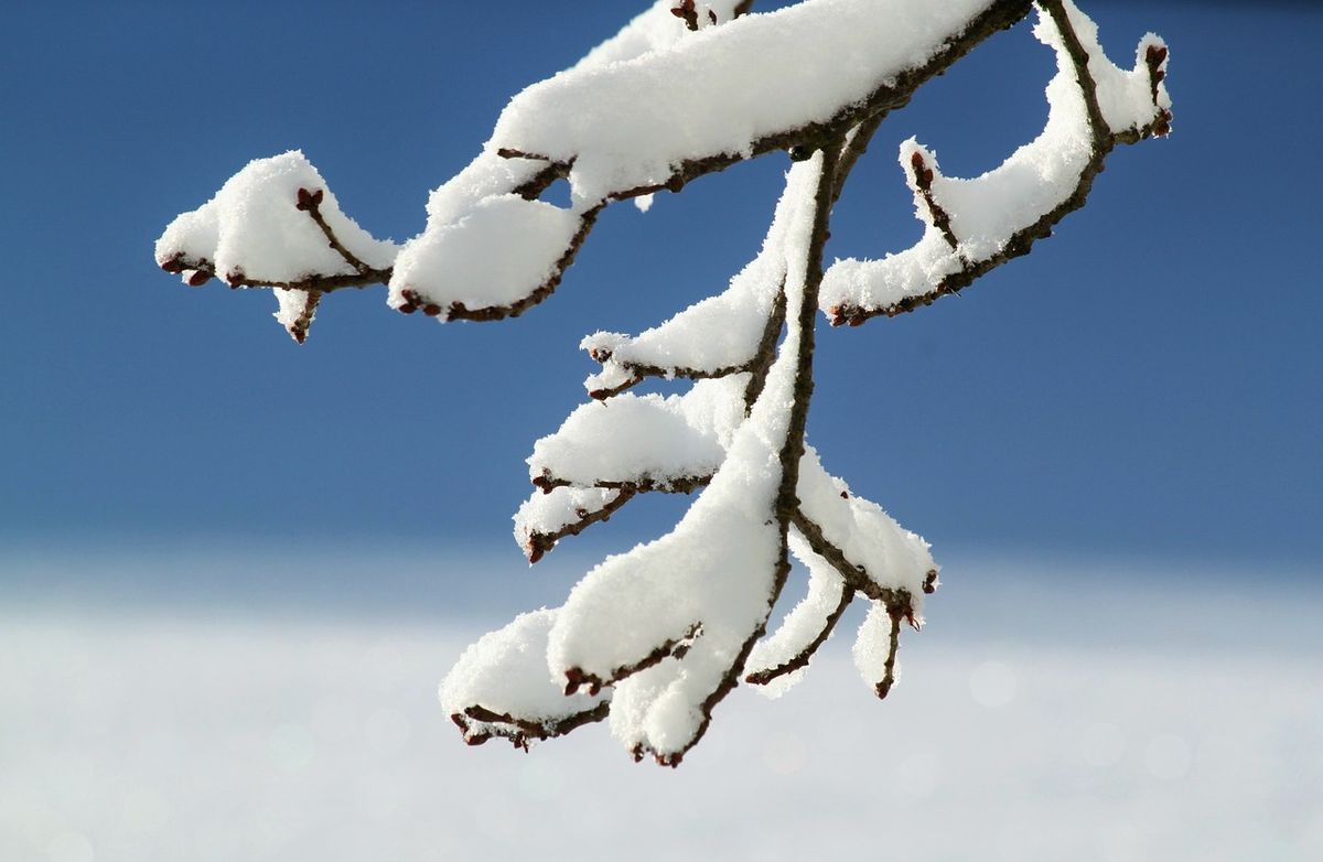 Idén korán érkezett az első hó. Illusztráció (Fotó: Pixabay)