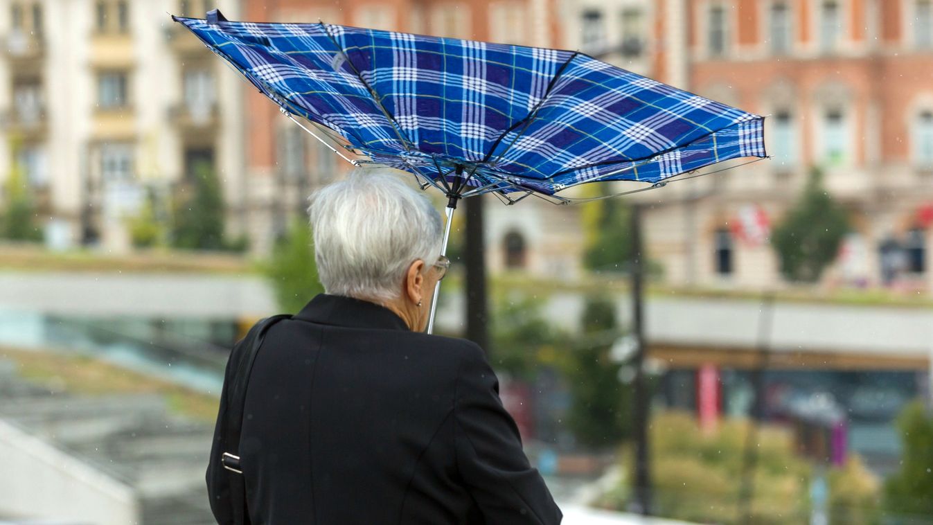 Eső Budapesten

MTI Fotószerkesztõség
Mohai Balázs