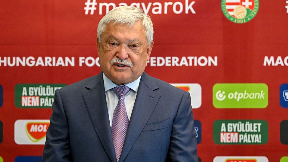 Súlyosan megbüntethetik azt, aki az MLSZ elnökét sértegeti