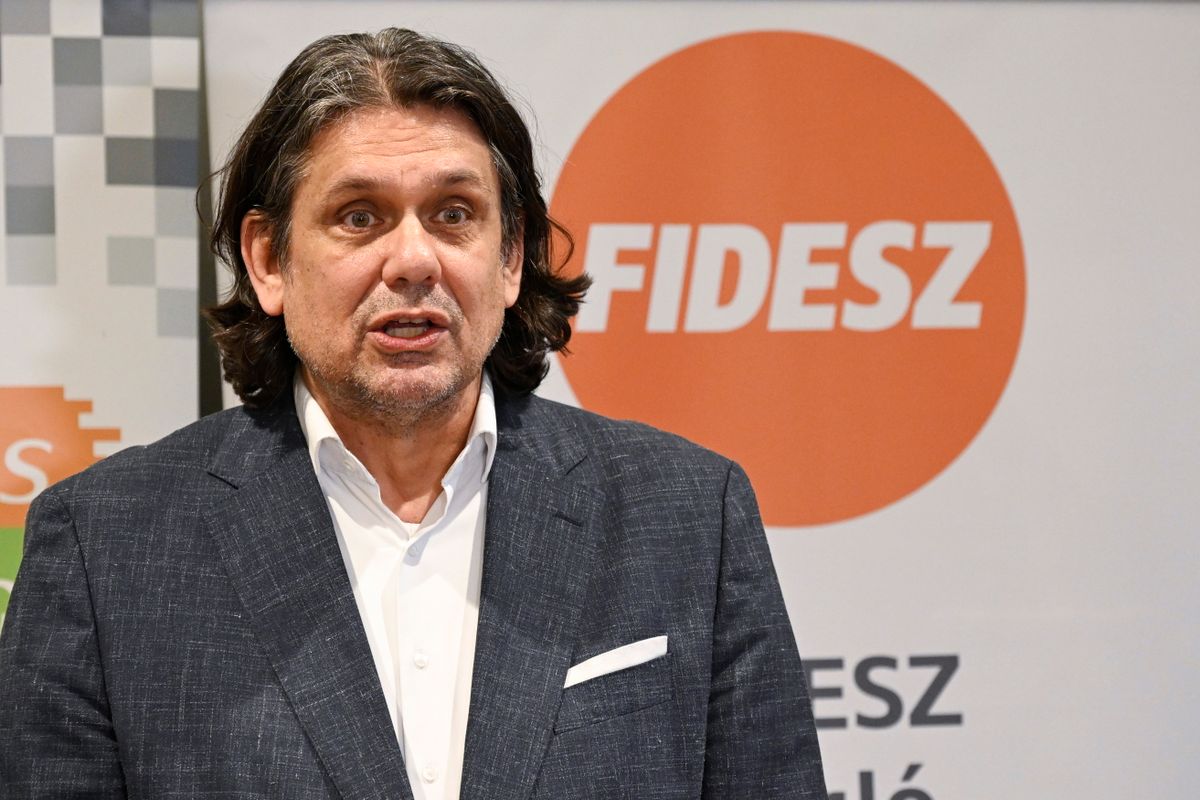 Deutsch Tamás, a Fidesz európai parlamenti delegációvezetője
