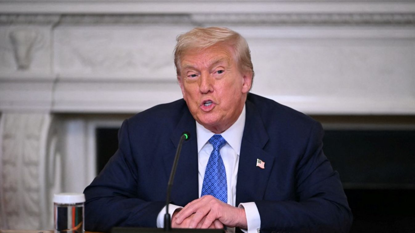 Donald Trump amerikai elnök (Fotó: AFP)