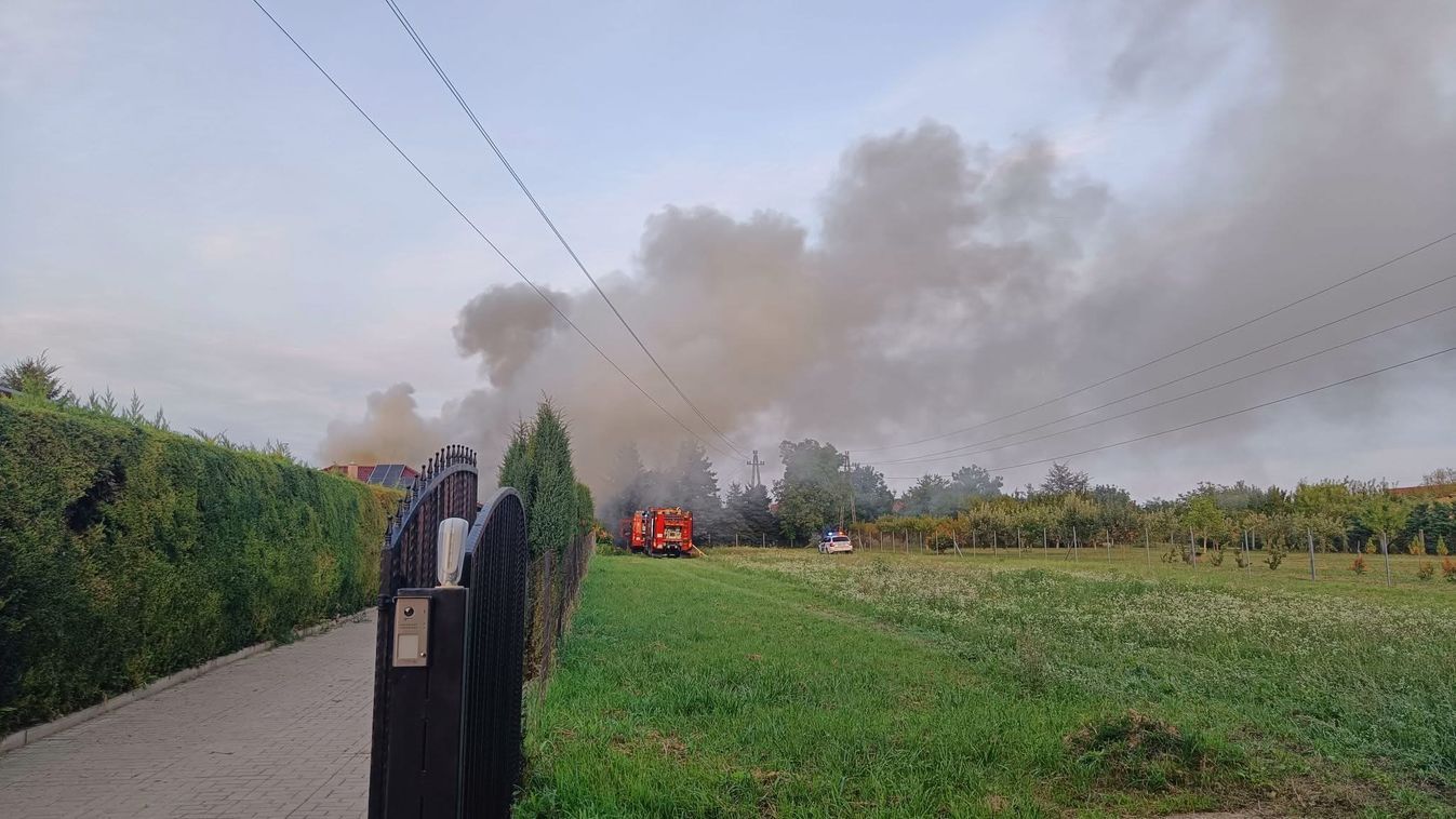 Darazsak miatt ütött ki tűz Pécsen.