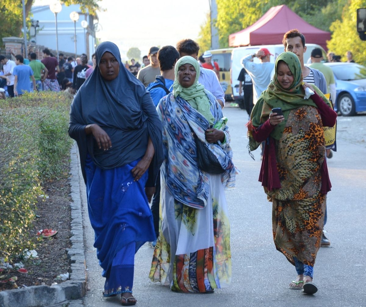 Erősödik a migránsok szegregációja Bécsben: a tanulmány szerint már háztömbnyi különbségek is jelentős társadalmi eltéréseket mutatnak.